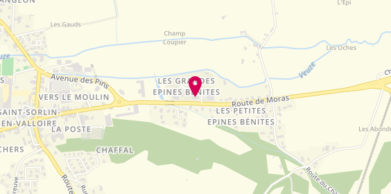 Plan de Luyton, Les Petites Épines Benites, 26210 Saint Sorlin