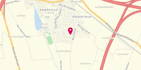 Plan de SA2B Menuiseries, 250 Rue de la Barmondière, 69480 Ambérieux D'azergues