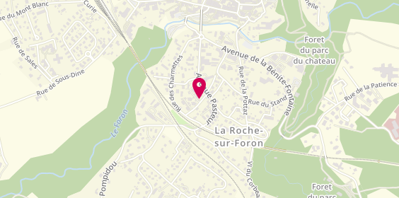 Plan de Agem, 246 Rue du Buisson, 74800 La Roche-sur-Foron