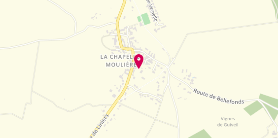 Plan de VIAUD Philippe, 9 Route Liniers, 86210 La Chapelle-Moulière