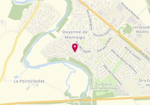 Plan de David Roy, 17 Rue Rayon d'Or, 85600 Saint-Georges-de-Montaigu