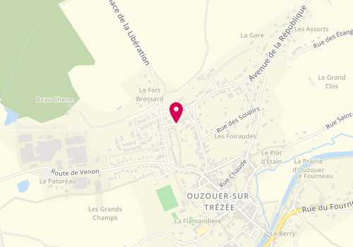 Plan de Palleau Didier, Zone Industrielle le Patureau Route Venon, 45250 Ouzouer-sur-Trézée