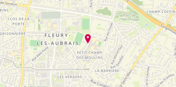 Plan de Henri Berge ETS, 21 Rue Perron, 45400 Fleury-les-Aubrais