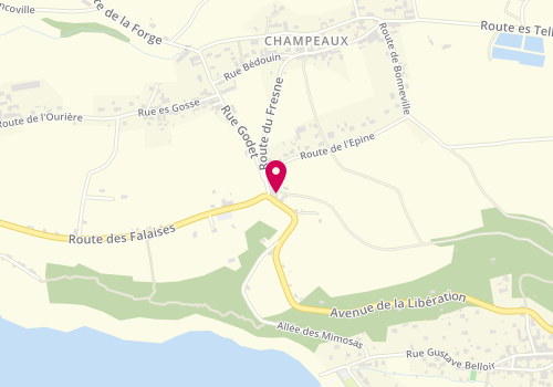 Plan de Fer et Bois, 15 Route des Falaises, 50530 Champeaux
