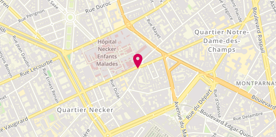 Plan de Jelic, 133 Rue de Vaugirard, 75015 Paris