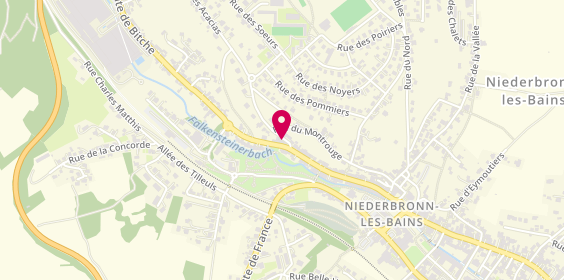 Plan de Findis, 70 Rue de la Republique, 67110 Niederbronn-les-Bains