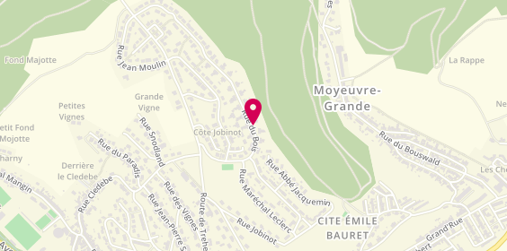 Plan de CAUCHY Gilles, 10 Rue Bois, 57250 Moyeuvre-Grande